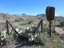 photo thumbnail #8
