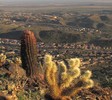 photo thumbnail #8