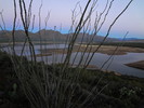 photo thumbnail #1