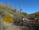 photo thumbnail #3