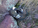 photo thumbnail #12