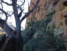 photo thumbnail #13