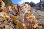 photo thumbnail #8