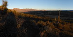 photo thumbnail #2