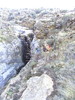 photo thumbnail #13