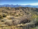photo thumbnail #5