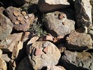 photo thumbnail #11