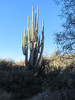 photo thumbnail #3