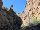 photo thumbnail #6