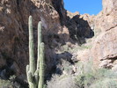 photo thumbnail #9