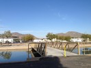 2014-01-12 :1: Arizona Canal :: kingsnake