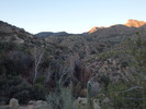 photo thumbnail #2