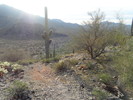 photo thumbnail #4