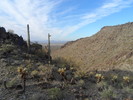 photo thumbnail #5