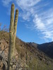 photo thumbnail #9