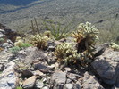 photo thumbnail #11