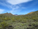 photo thumbnail #2