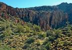 photo thumbnail #5
