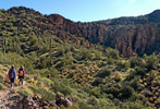 photo thumbnail #6