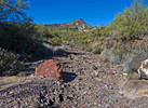 photo thumbnail #4