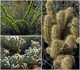 photo thumbnail #8