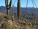 photo thumbnail #9