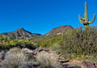 photo thumbnail #15
