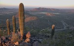 photo thumbnail #6