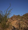 photo thumbnail #7