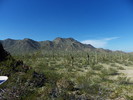photo thumbnail #1