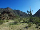photo thumbnail #3