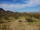 photo thumbnail #2