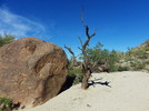 photo thumbnail #5