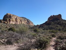 2014-01-13 :1: Black Top Mesa :: trekkin_gecko