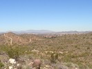 photo thumbnail #2