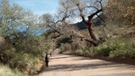 photo thumbnail #5