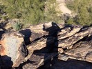 photo thumbnail #6