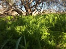 photo thumbnail #14