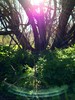 photo thumbnail #15