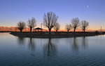photo thumbnail #15