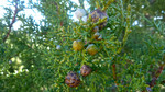 photo thumbnail #14