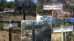 photo thumbnail #2