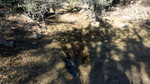 photo thumbnail #14