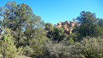 photo thumbnail #15