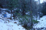 photo thumbnail #3
