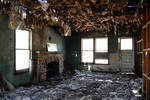 photo thumbnail #7