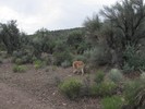 photo thumbnail #4