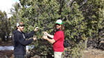 photo thumbnail #8