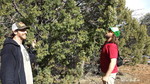 photo thumbnail #9