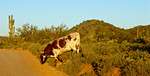 photo thumbnail #4